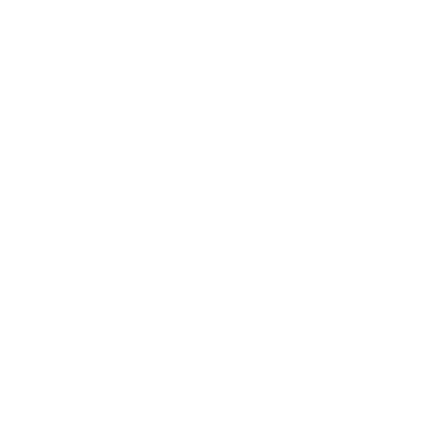 Paradise VPN Logo Glow