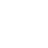Paradise VPN Logo