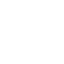 Paradise VPN Logo